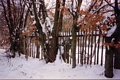 Winterbild am Gartenzaun der Vodolenka